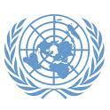 UNITED NATIONS Expert Group Meeting (EGM) Citizen Engagement and the Post 2015 Development