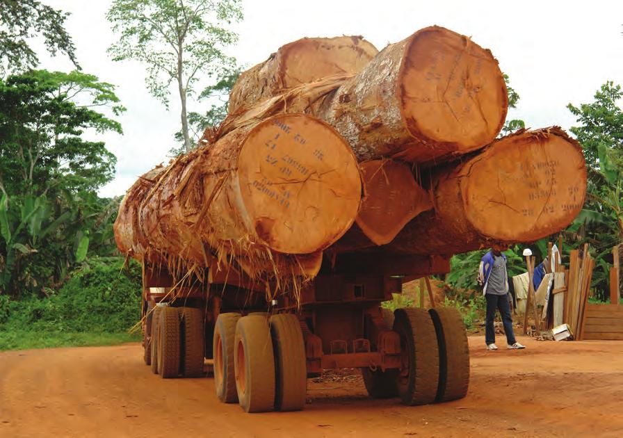 Illegal logging A commitment to change through