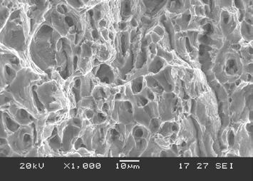 These microscopic views show fatigue facets created by propagation of the fatigue