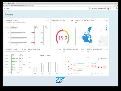 SAP Business Planning and Consolidation Analytics-embedded Analyze and plan