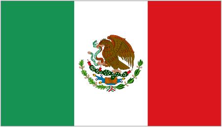 Mexico Trends Increased manufacturing in Mexico Open economy leading to foreign competition Best Practices Some private companies have IT systems that allow