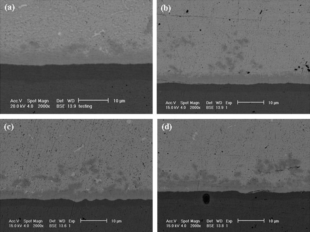 218 A.K. Gain et al. / Journal of Alloys and Compounds 506 (2010) 216 223 Fig. 3. SEM micrographs of Sn Ag Cu solder joints after eight reflow cycles with Al nano-particle contents: (a) 0 wt%, (b) 0.