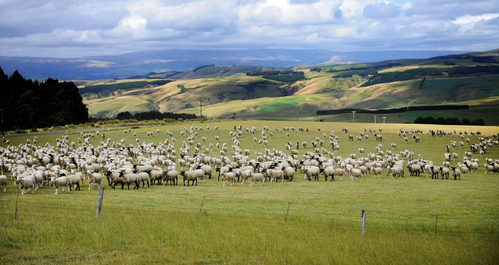 Agribusiness Outlook 2018 New Zealand