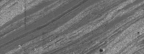 Non-uniform deformation and coarse slip bands were also observed in the microstructure of the samples of Inconel deformed at 850 C with strain rate of 4x10-4 s -1 (Fig. 2).