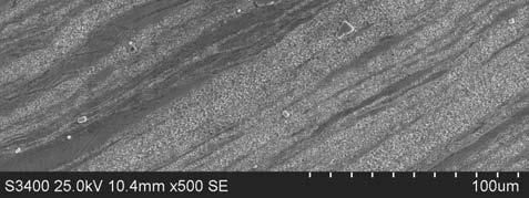 3a shows similar results, to those observed by optical metallography, by using SEM at higher magnifications, for the solution treated, deformed at 850 C with strain rate of 10-4 s -1.