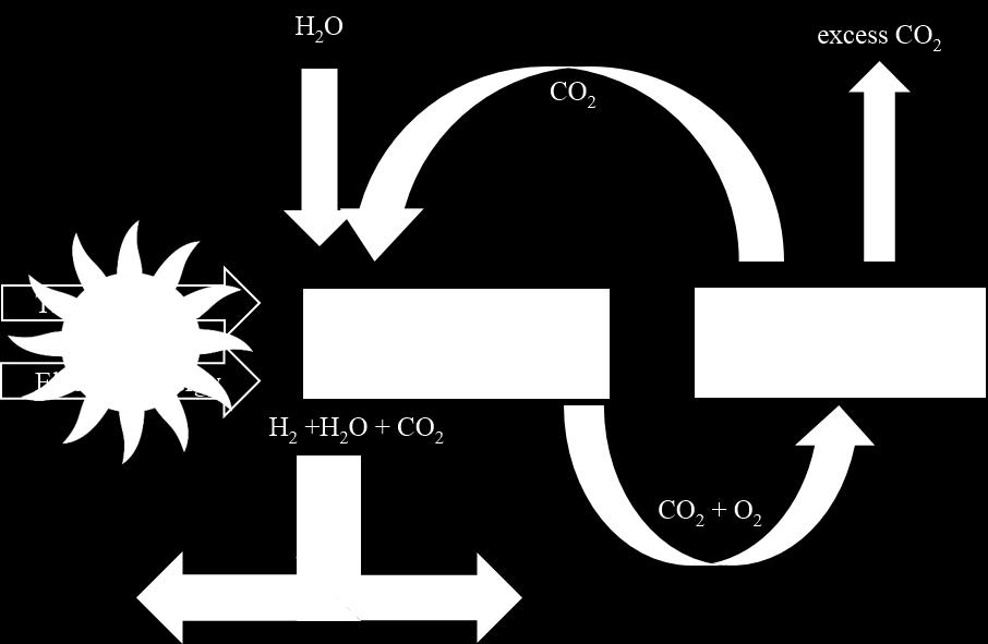 The process may include oxycombustion to capture and reuse CO 2 in a closed loop system Cathode H 2 O+CO 2