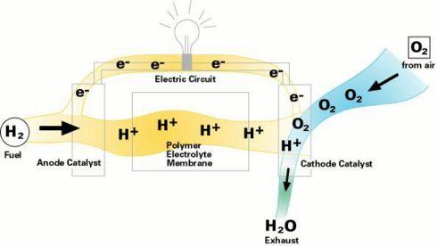 Fuel Cell Technology Fuel Cell Technology Types: Polymer Electrolyte Membrane Fuel Cell (PEMFC) Alkaline Fuel Cell (AFC) Molten Carbonate Fuel Cell (MCFC) Phosphoric Acid Fuel Cell