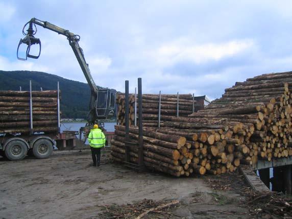 Local timber resources