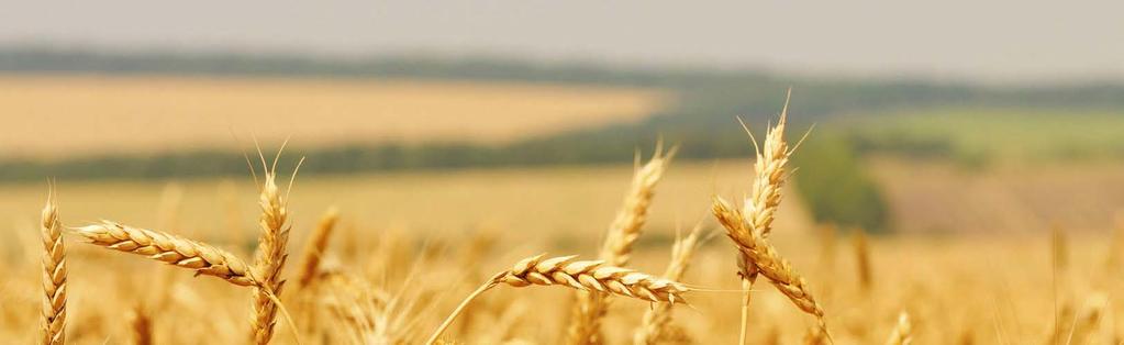 Agriculture in Russia Ban on imports Major implications In August 2014 Russia introduced a ban on imports from the US, the EU, Canada, Australia and Norway for the following agricultural products: