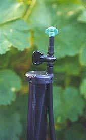 Micro-Sprinkler Sprinkler Irrigation 1 Good for landscape beds Uses more water than soaker