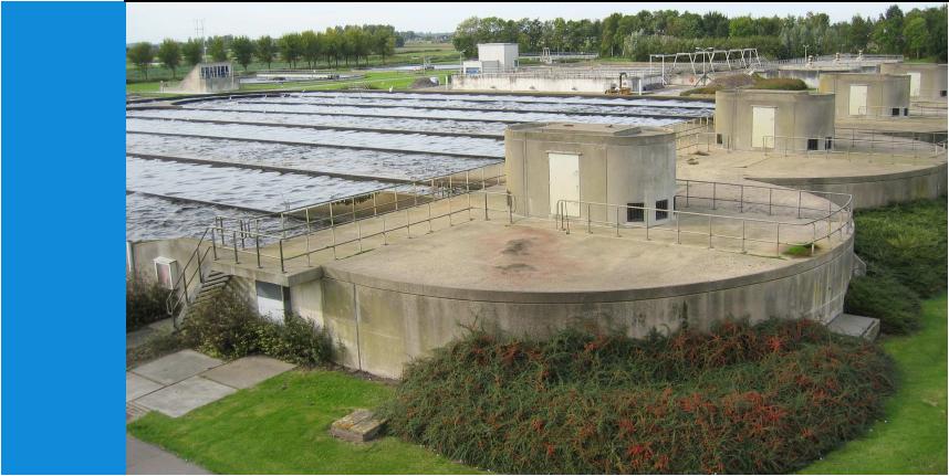 Lab Removal Course CT 4485 Wastewater Treatment Author(s) / Editor(s) : J. de Koning, T. Schuijt, M. de Kreuk, P.