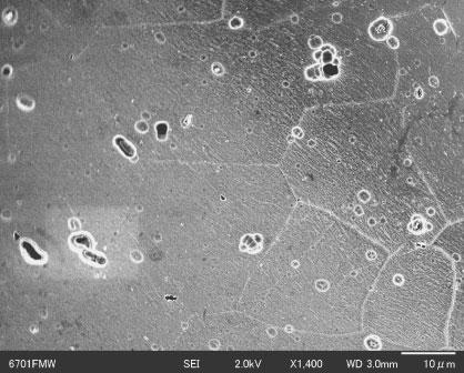 1988 H. Nakano et al. 1µm 1µm Fig. 5 FE-SEM images of Al-Mg alloy with CREO and without anodized at 4 Am 2 for 4 min. Figure 5 shows SEM images of anodized Al-Mg alloy with and without CREO.