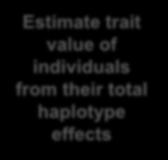 M B / F A / S Chromosome: haplotype blocks Trait 1 effects 1 2