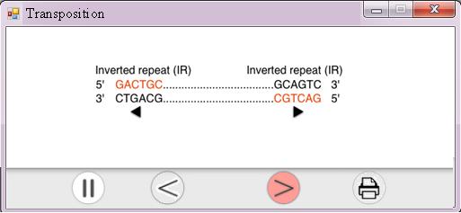 148 serving as a coding strand for the poly(a) tail of the mrna. It should be noted that various enzymes are involved in transposition.