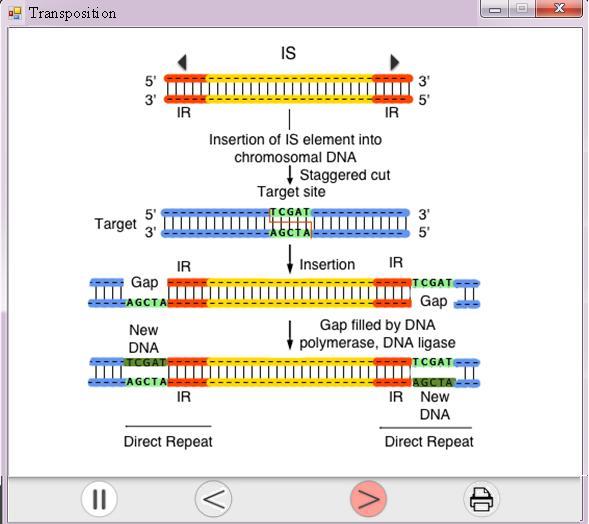 supplied by the cell s genes outside the transposable sequence.