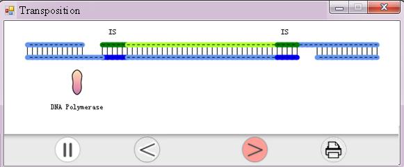 150 Step 5. DNA polymerase fills the gaps, which is followed by ligation.