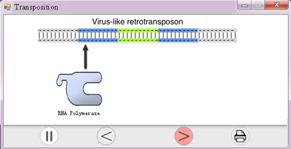 retrotransposon and b) poly-a transposon Fig.