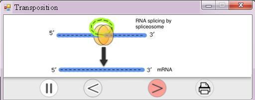 The cdna from the TE element is then inserted