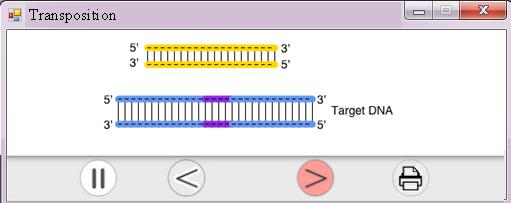 transposase (not shown). Step 2.