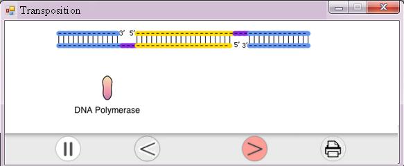 154 Step 2. The mrna arrives at the ribosome for translation. Fig. 10.