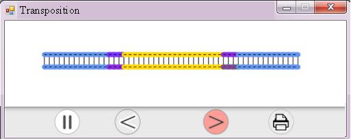 Another common transposon is the poly-a retrotransposon.