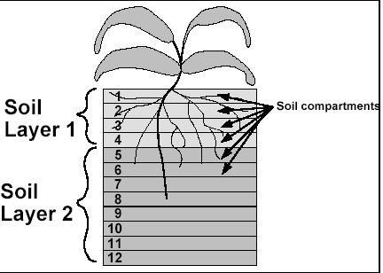 Soil layers and