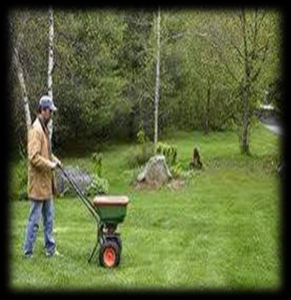 5. Practice nutrient management On your own lawn,