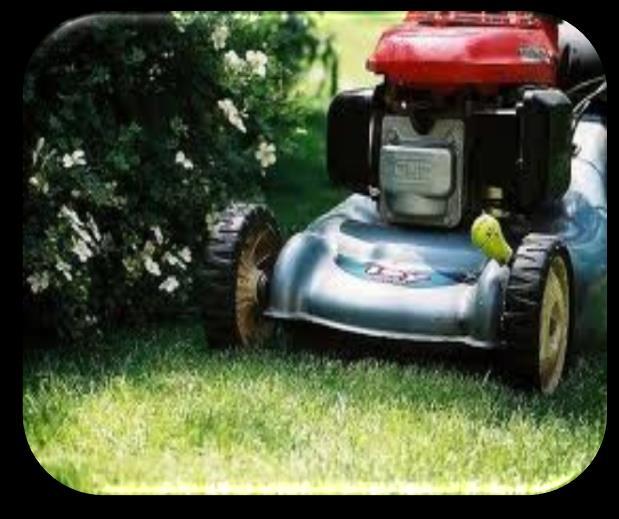 composting mower and keep clippings off the street