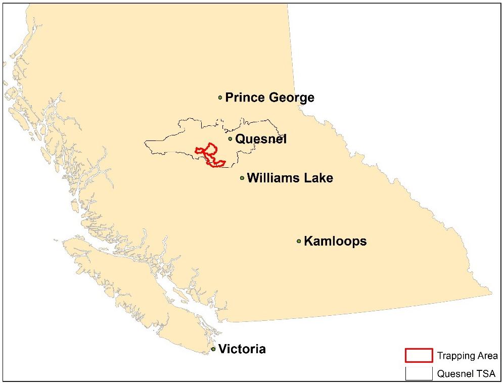 Introduction The Complaint In July 2016, the Forest Practices Board received a complaint from two trappers operating in the Nazko area, west of Quesnel (Figure 1), about salvage harvesting as a