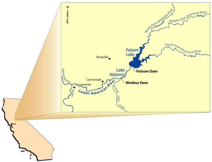 1 INTRODUCTION The American River (Figure 1) is the second largest tributary to the Sa