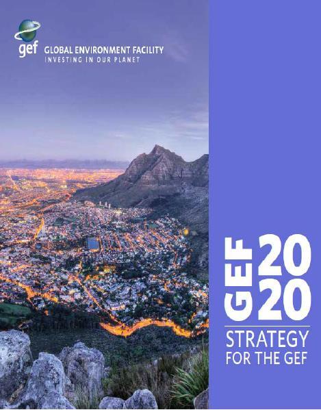 Key points of GEF 2020 Strategy Support transformational change; achieve impacts on broad scale Focus on the key drivers of environmental degradation Support