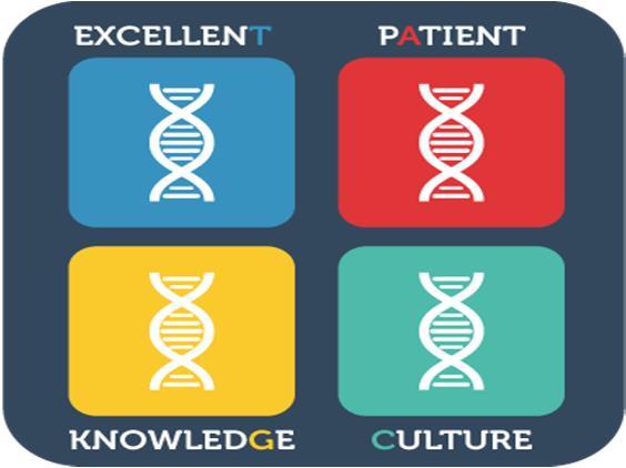 Understanding the DNA Building Blocks The best potential to sustainably impact the outcomes that matter to the patient lie in the integration of three critical areas of influence for the
