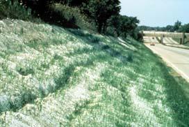 Maintenance of vegetation Slope Protection with