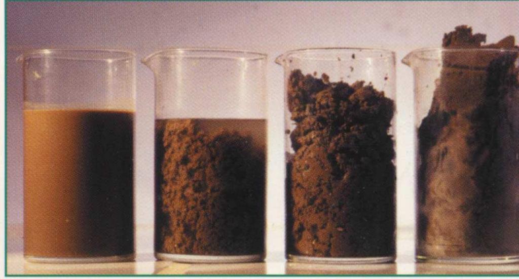 Table 6: Sewage sludge from liquid to solid SLUDGE CONSISTENCY L