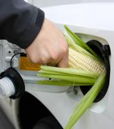 Why biofuel?