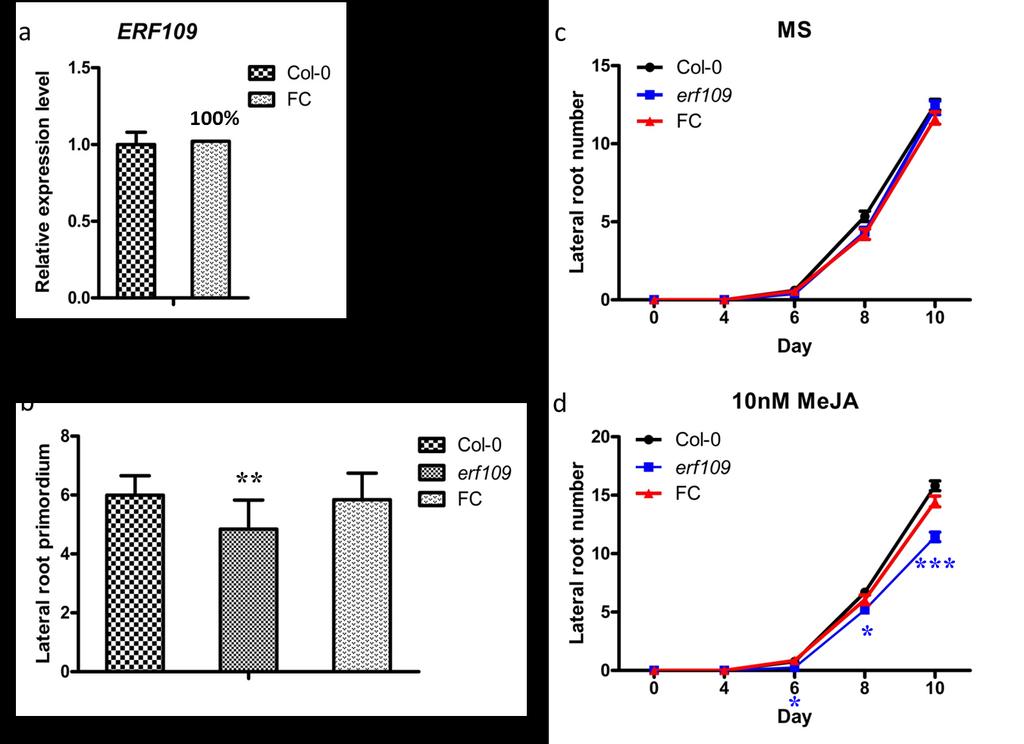 Supplementary Fig 9. Functional complementation assay. (a) The expression level of ERF109 in FC line was analysed by quantitative RT-PCR.