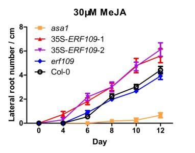 a b c d e f g h i Supplementary Fig 7. LR formation curve of erf109, wild type, 35S-ERF109-1, 35S-ERF109-2, and asa1 seedlings grown on medium containing indicated concentrations of MeJA.