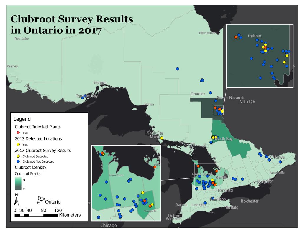 Figure 1. Clubroot survey results for 2016 and 2017. Blue dots indicate fields that were soil sampled and clubroot was not detected, and yellow dots are where clubroot was detected in soil.