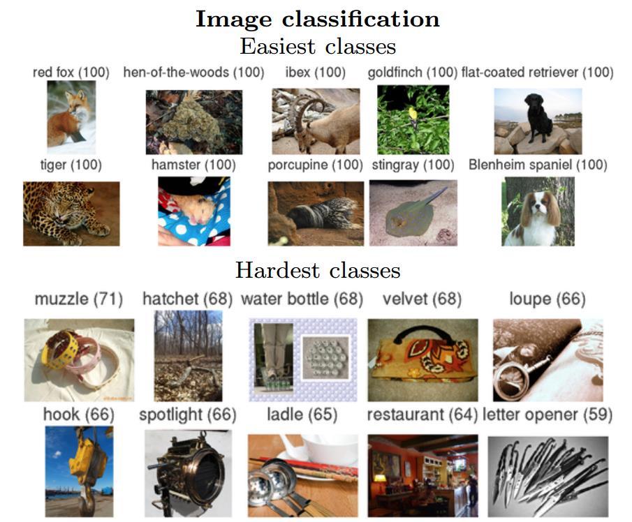 ImageNet Large Scale Visual Recognition Challenge Started in 2010 1,000 different categories of visible light objects (abacus to zucchini) Need to classify 1