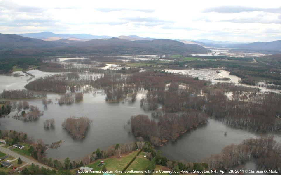 What is floodplain forest?