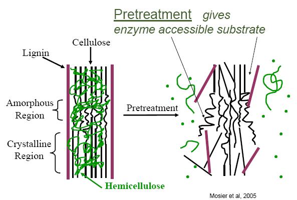 Pretreatment pens Up Structure for Enzyme