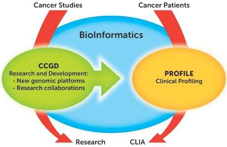 CCGD Structure CCGD is the research and development group within the Precision Cancer Medicine