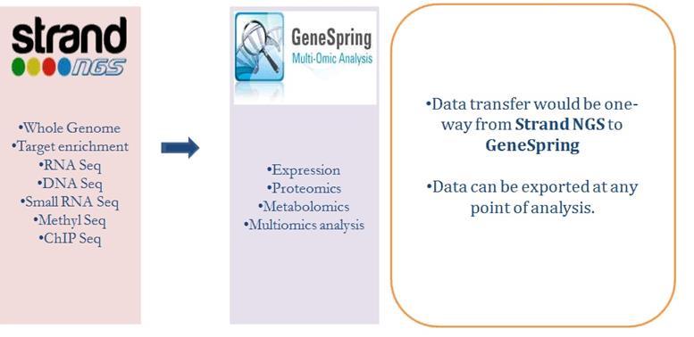 Data Transfer between Strand NGS and GeneSpring Methyl Seq Enhancement - choose either the positive and/or the negative strand during Methylation Detection in targeted experiments.