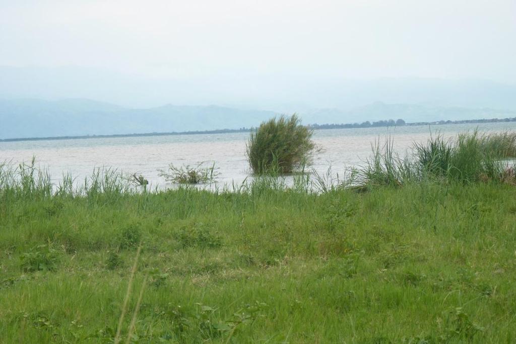 Burundi Tana River