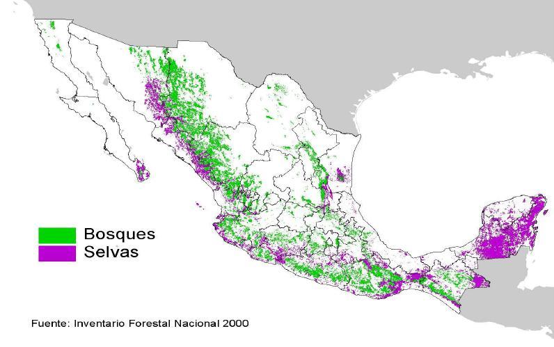 3 thousand hectares of avoided deforestation Avoided GHG emissions ~ 3.