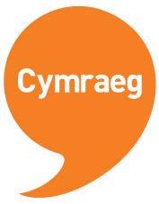 ) Free language skills development for staff who have completed basic Welsh language training. (S139.