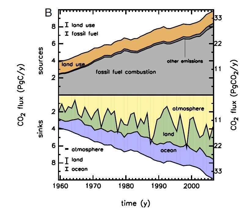 The missing carbon sink and its (suspected) drivers Land management model derived!