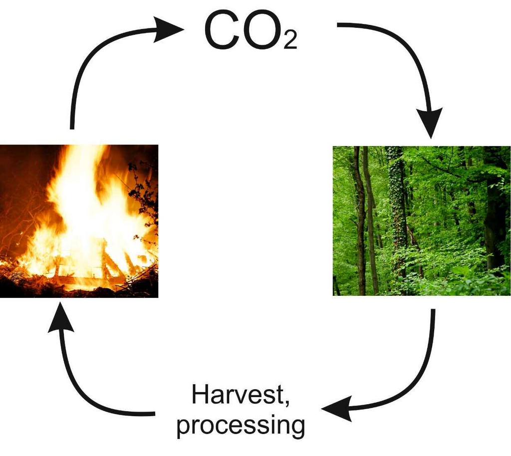 Conventional wisdom CO2 released during combustion is offset during plant