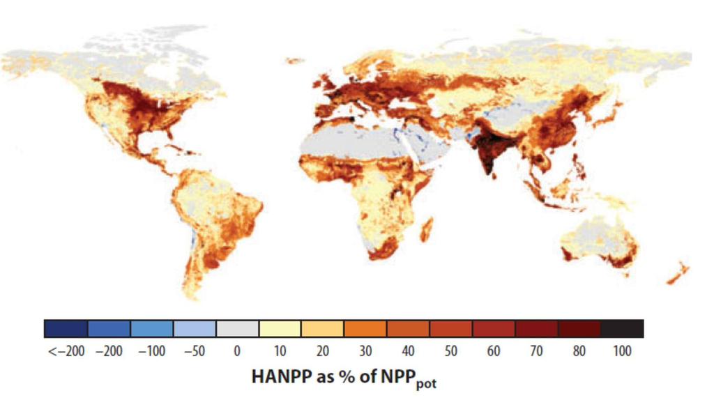 Global terrestrial human appropriation of net primary production (HANPP)