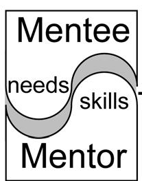 Functional mentoring: a defined process to identify, establish and nurture a mentoring relationship.